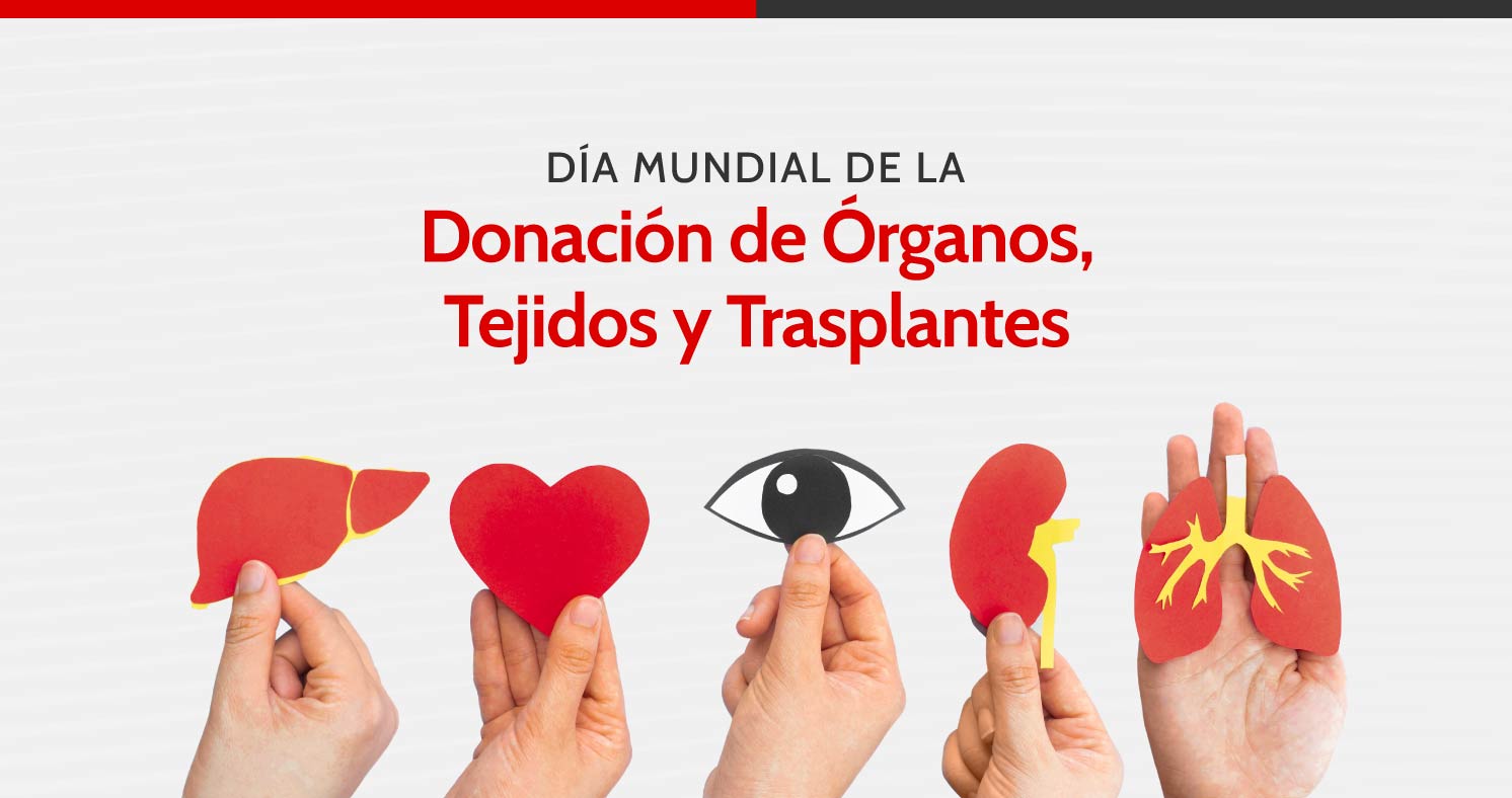 Actividades En Niños Del Dia Mundial De Donacion De Sangre